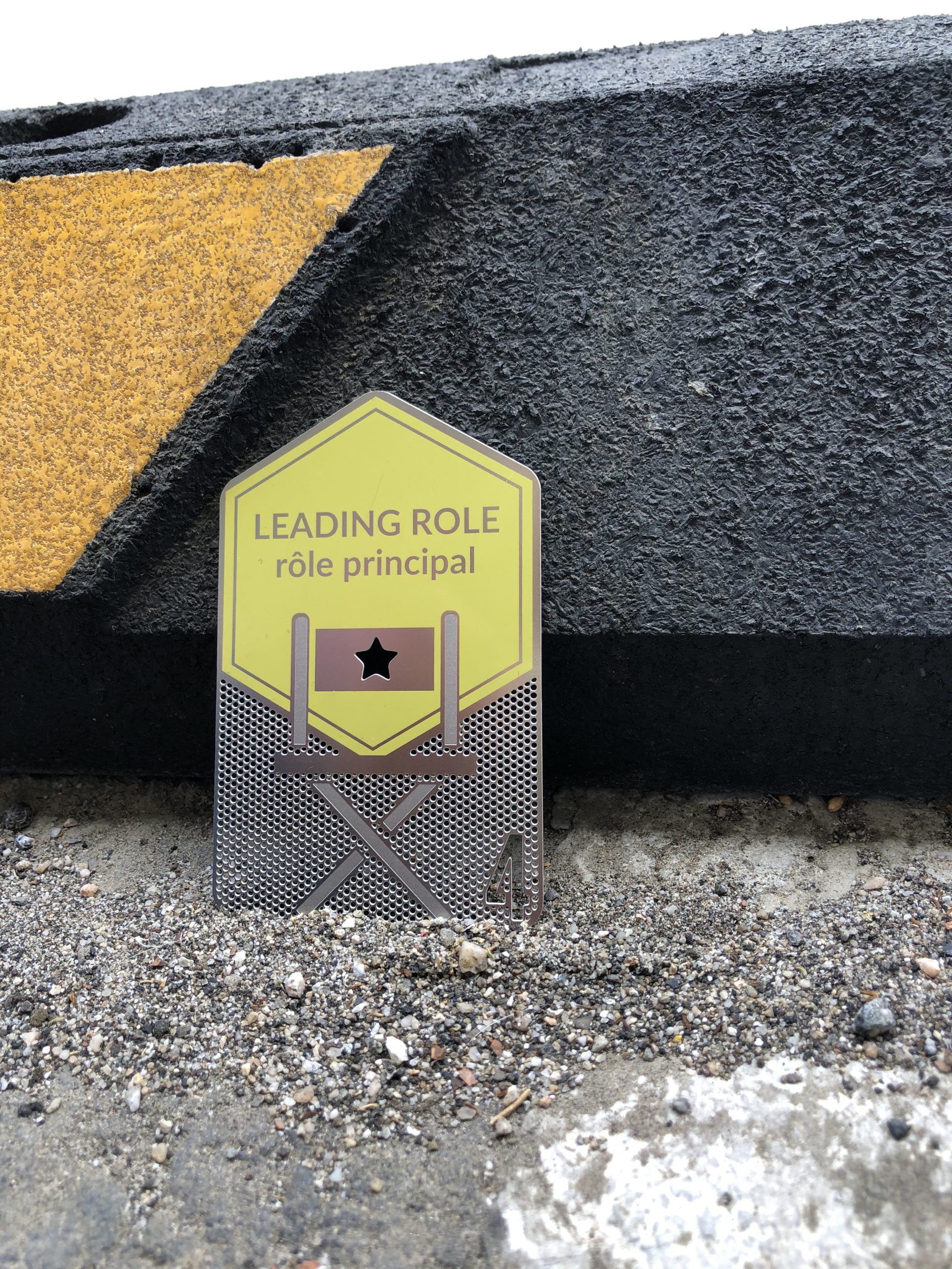 🎬Animal Actor Certification - Image 5