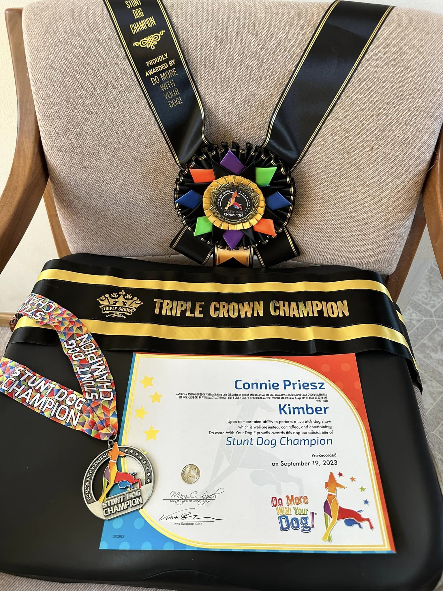 Stunt Dog Title - Image 4