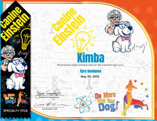 Canine Einstein Certificate & Ribbon