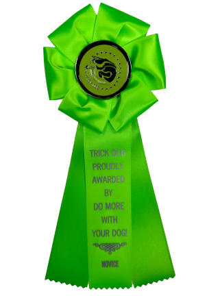Novice Trick Dog (NTD) Rosette
