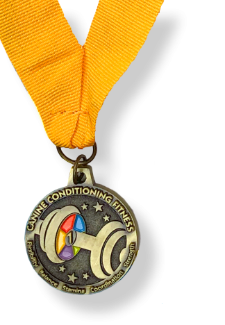 CCF1 Medal
