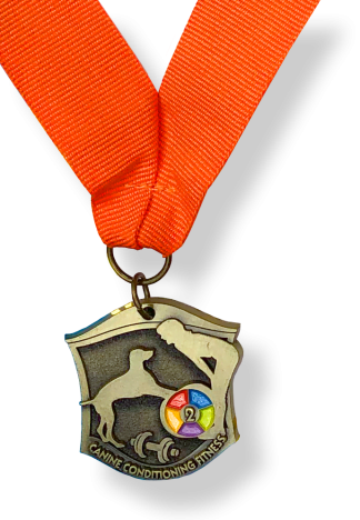 CCF2 Medal