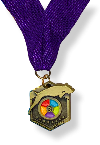 CCF3 Medal