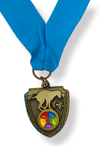 CCF4 Medal