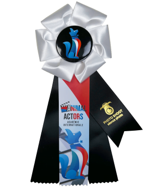 Animal Actor Level 1 Rosette