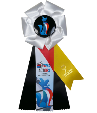 Animal Actor Level 4 Rosette