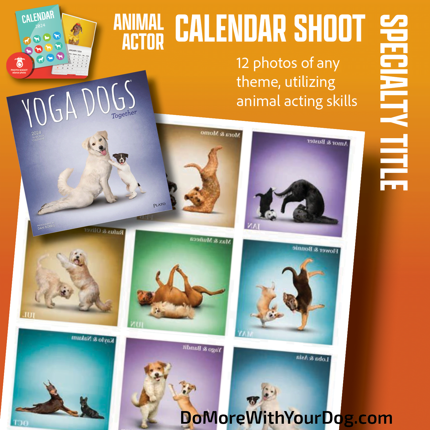 📆Calendar Shoot - Animal Actor Specialty Title - Image 21