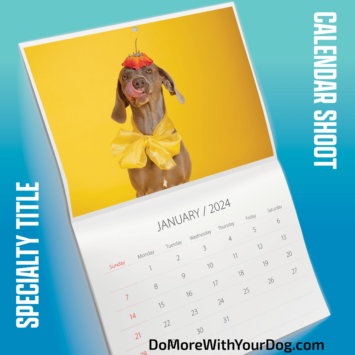 📆Calendar Shoot - Animal Actor Specialty Title - Image 7