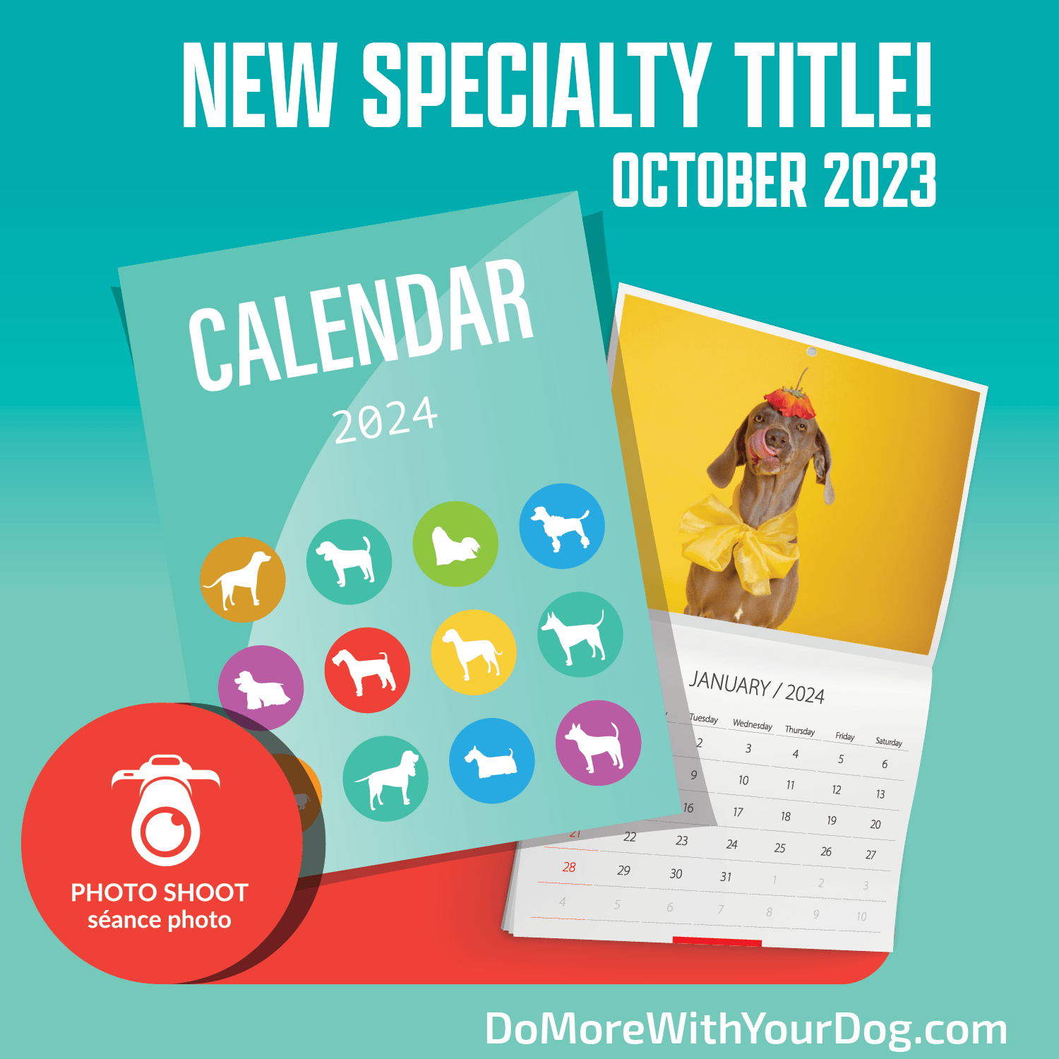 📆Calendar Shoot - Animal Actor Specialty Title - Image 9