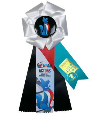 Calendar Shoot Rosette