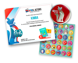 Calendar Hardcopy Certificate, Metal Disc, Sticker Sheet