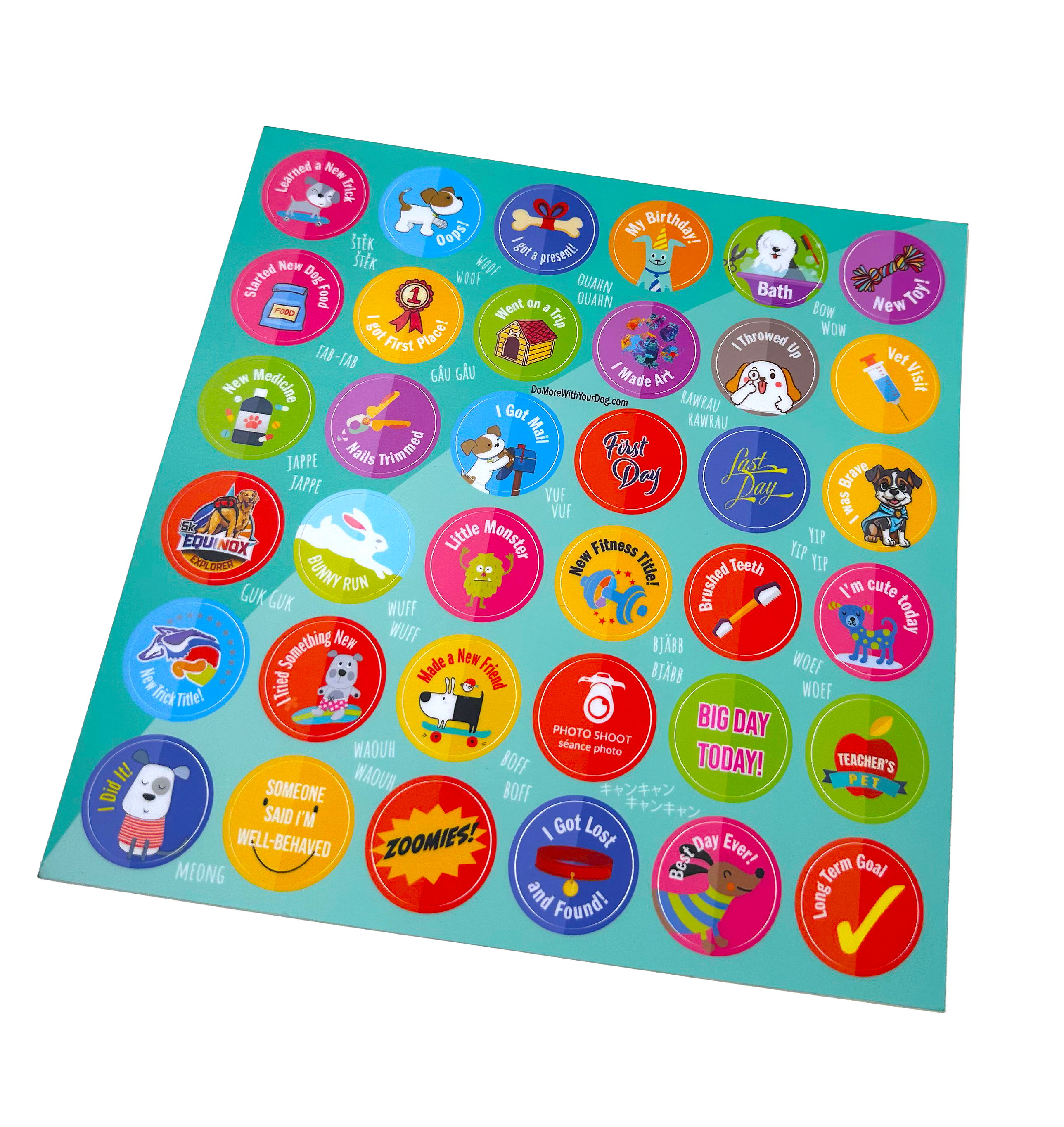 📆Calendar Shoot - Animal Actor Specialty Title - Image 4