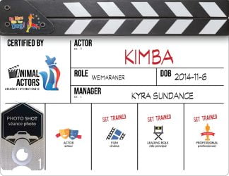 Hardcopy Certificate and AA1 Metal Card