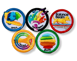 Pentathlon Series Patches