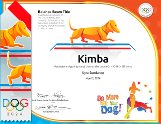Balance Beam Hardcopy Certificate & Ribbon