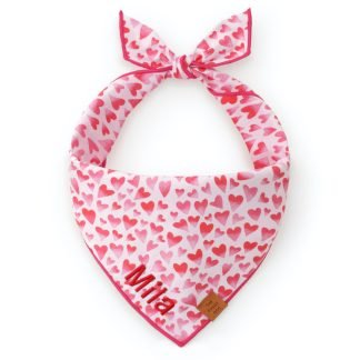 Heart Throb Bandana/The Foggy Dog