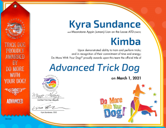 ATD Certificate & Ribbon