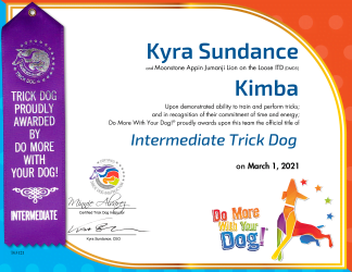 ITD Certificate & Ribbon