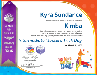 ITD-M Certificate & Ribbon