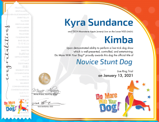 NSD Certificate & Ribbon