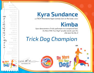 TDCH Certificate & Ribbon