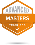 AdvancedMasters-e1673659161639-117x150.png