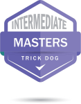 IntermediateMasters-e1673659115466-117x150.png