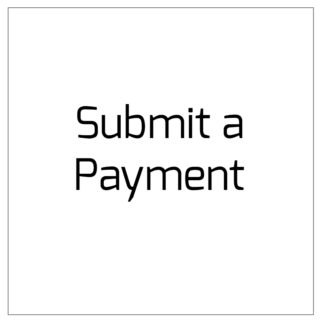 Submit a payment
