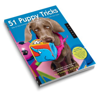 51 Puppy Tricks
