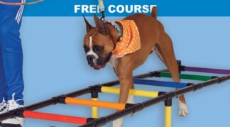 π 20 Uses for Rainbow Ladder and Magic Square