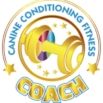 CCFCcoachGoldpng-150x150.png