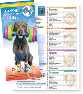 π CCF Application form