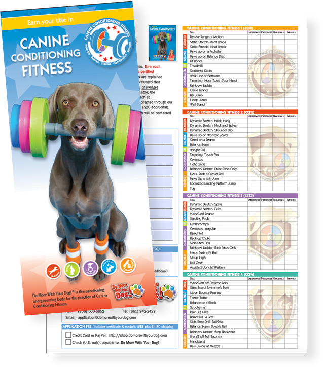 π CCF Application form