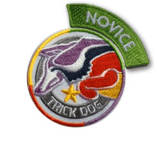 Title Patch: Center + Novice