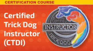 CTDI Certification Master Class