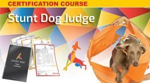 MC Stunt Dog Judge Stunt Dog Judge