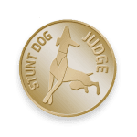 StuntJudgePin-150x150.png
