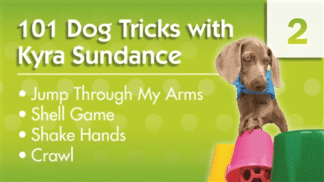 101 Dog Tricks with Kyra Sundance (#2) Master Class
