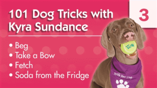 101 Dog Tricks with Kyra Sundance (#3) Master Class