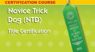 Novice Trick Dog - personal coach and title