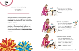 The Joy of Dog Training - Image 6