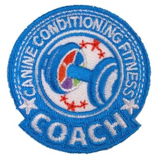 CCFC Patch