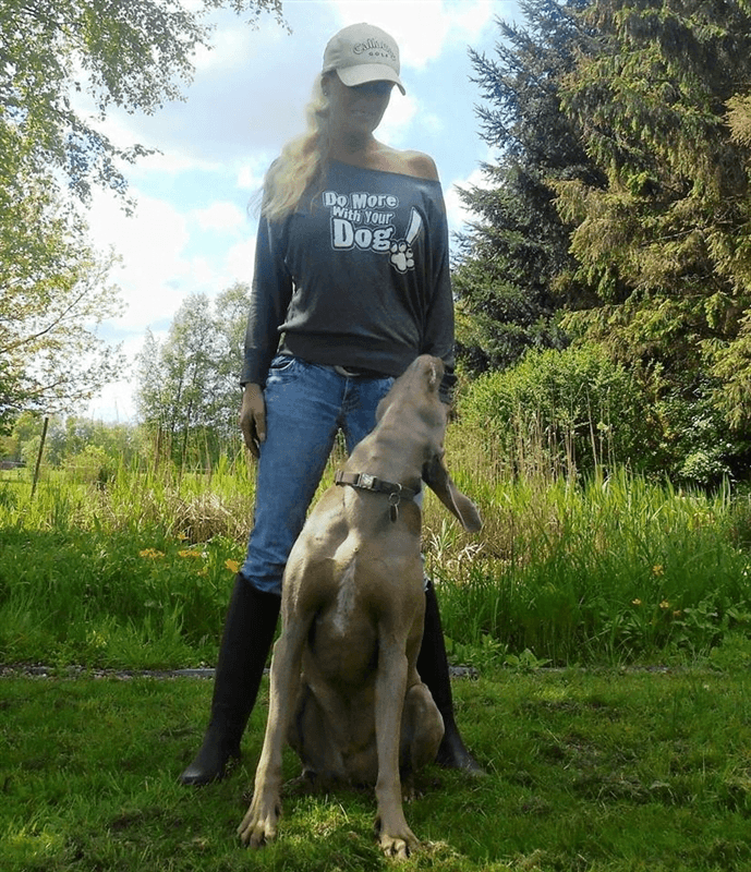 Off-Shoulder Comfy Shirt (S,L,XL,2XL) - Image 7