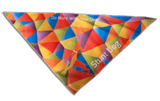 Stunt Dog Bandana