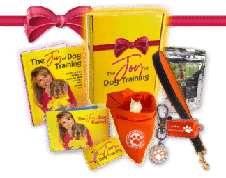 Box of Joy Gift Pack