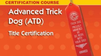 Advanced Trick Dog - personal coach and title