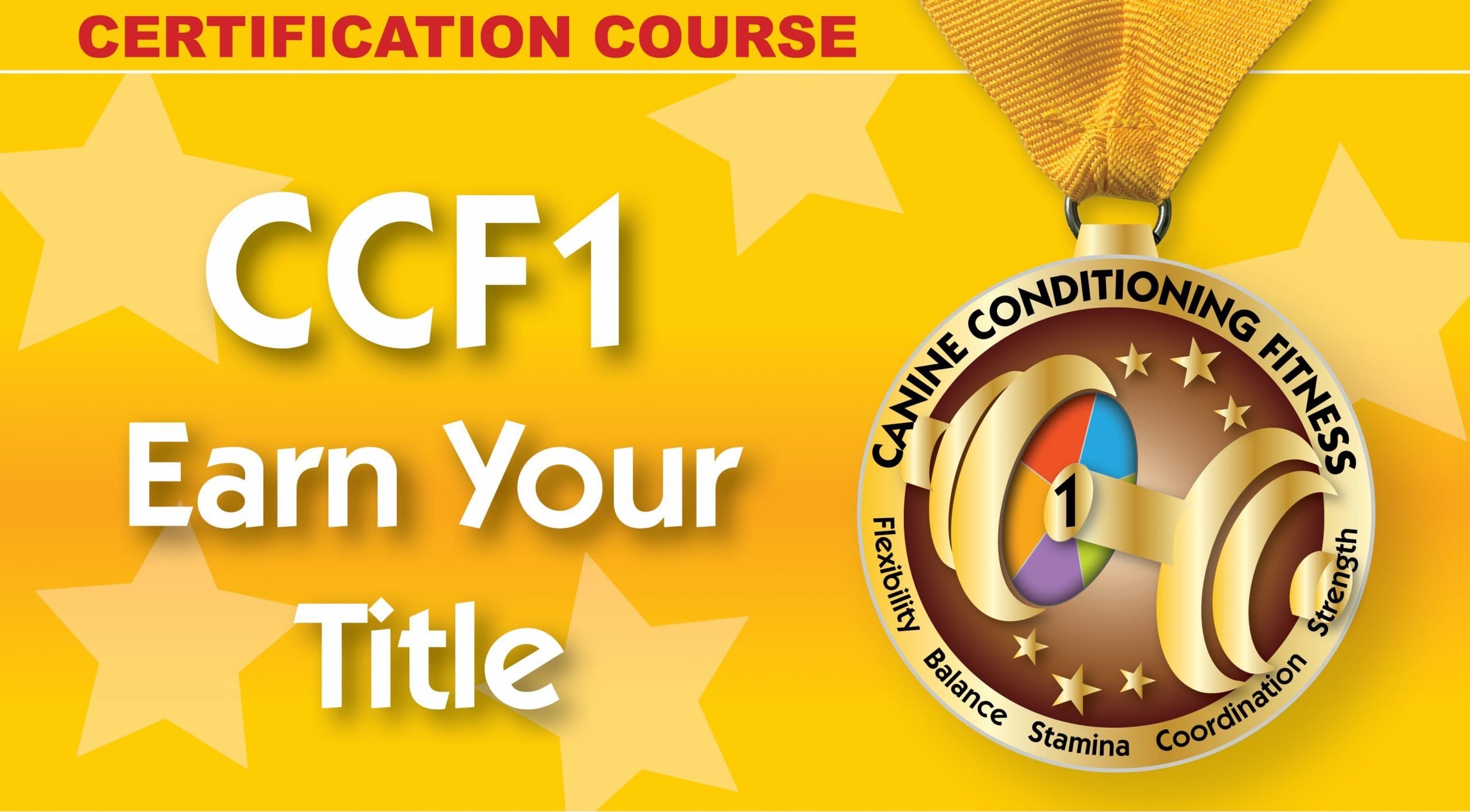 CCF1 - personal coach and title
