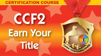 CCF2 - personal coach and title