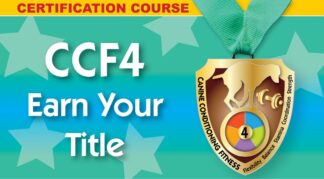 CCF4 - personal coach and title