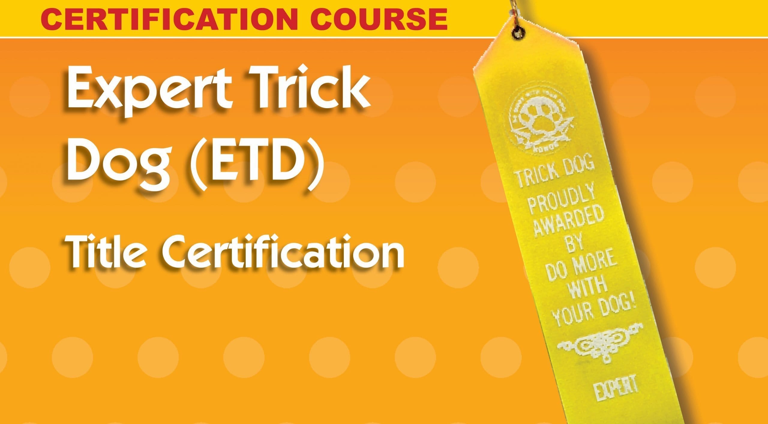 Expert Trick Dog - personal coach and title